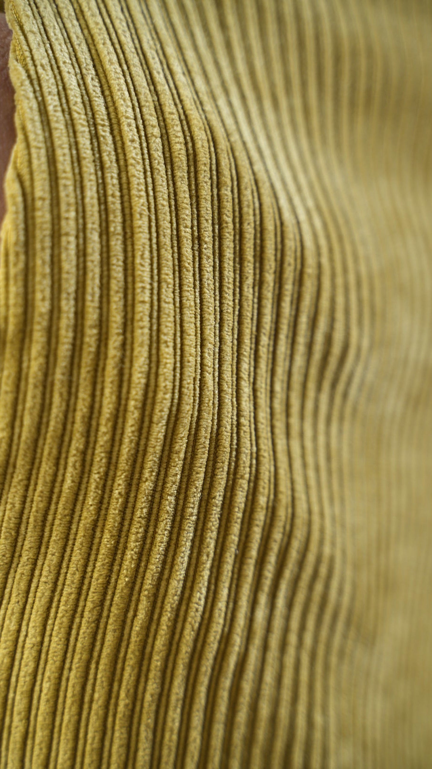 Tensione In - Pantaloni velluto a coste - ART.26P113AI25CAMP